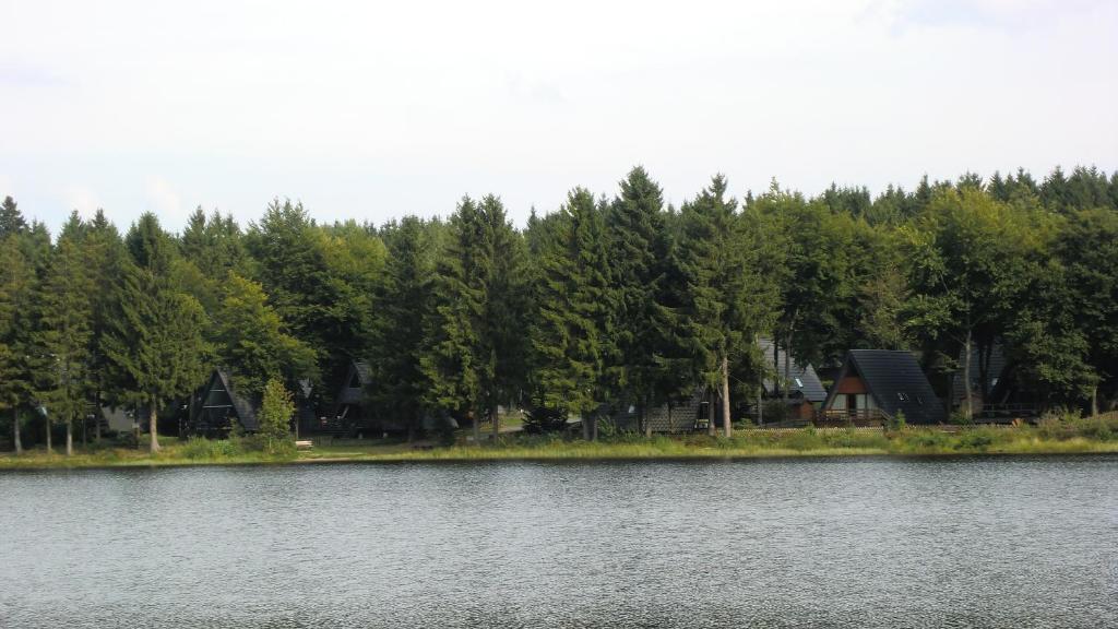 Waldsee Feriendienst 'Ferienpark Am Waldsee' เคลาส์ทาล-เซลเลอร์เฟลด์ ภายนอก รูปภาพ