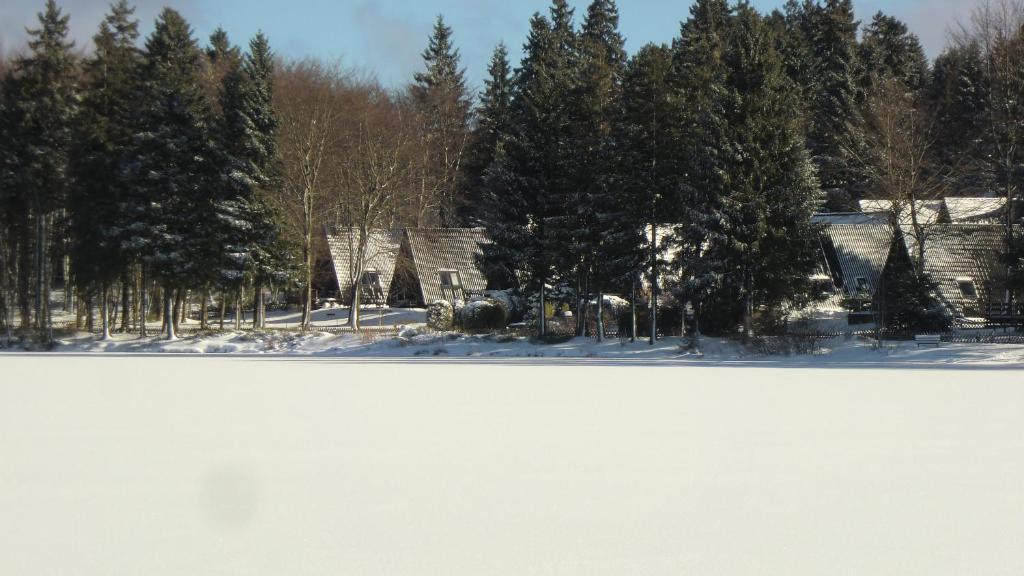 Waldsee Feriendienst 'Ferienpark Am Waldsee' เคลาส์ทาล-เซลเลอร์เฟลด์ ภายนอก รูปภาพ